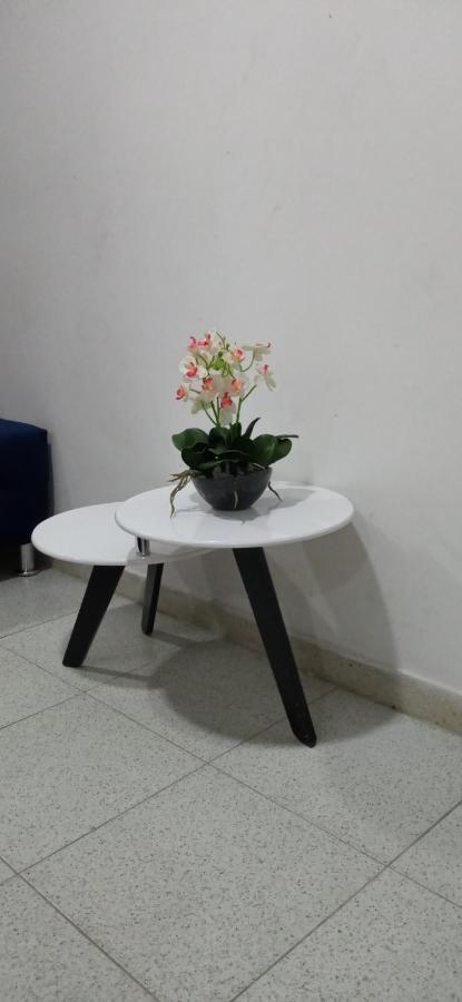 Apartamento Vital 布卡拉曼加 外观 照片